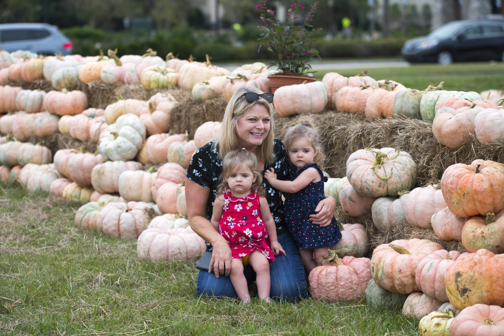 BR.pinkpumpkins.100919 TS 01.jpg